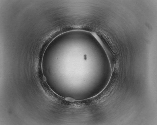 X0000112900540200908211519