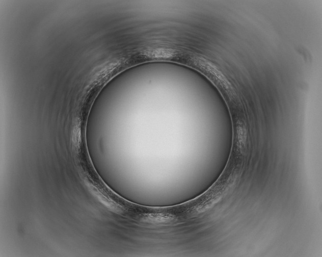 X0000112900541200908211519