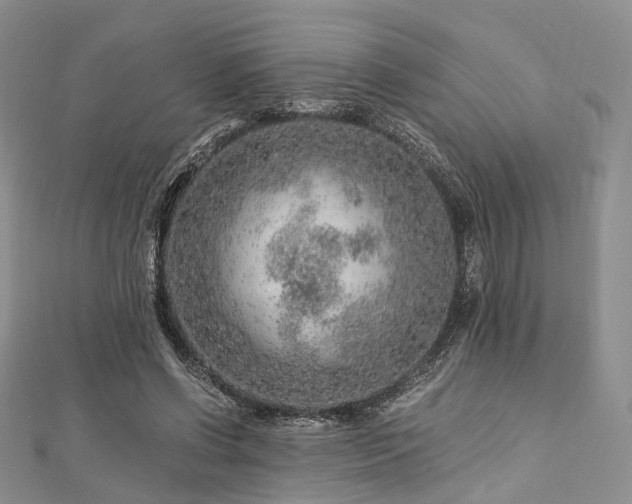 X0000112900542200908211519