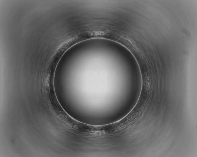 X0000112900543200908211519