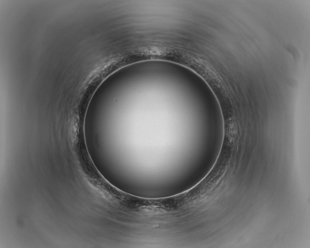 X0000112900544200908211519