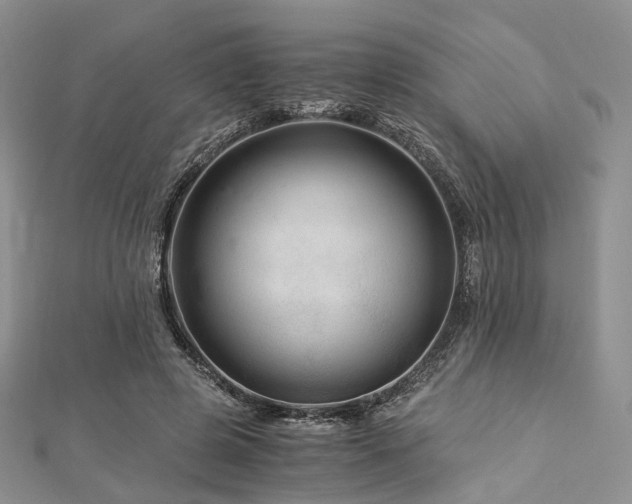 X0000112900545200908211519