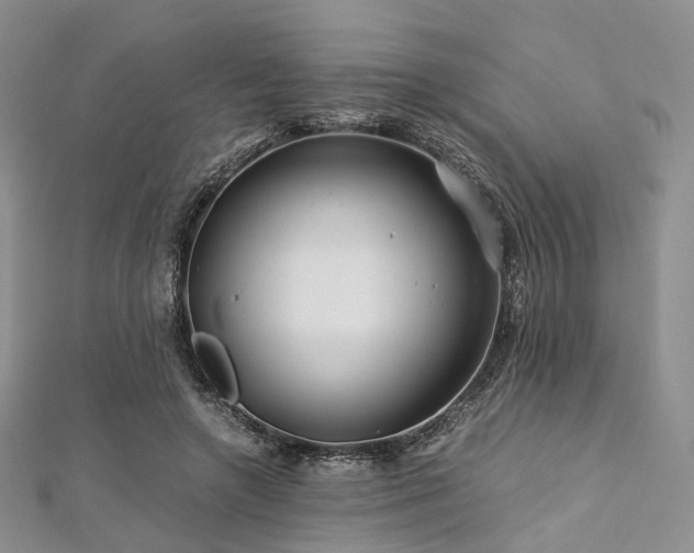 X0000112900546200908211519