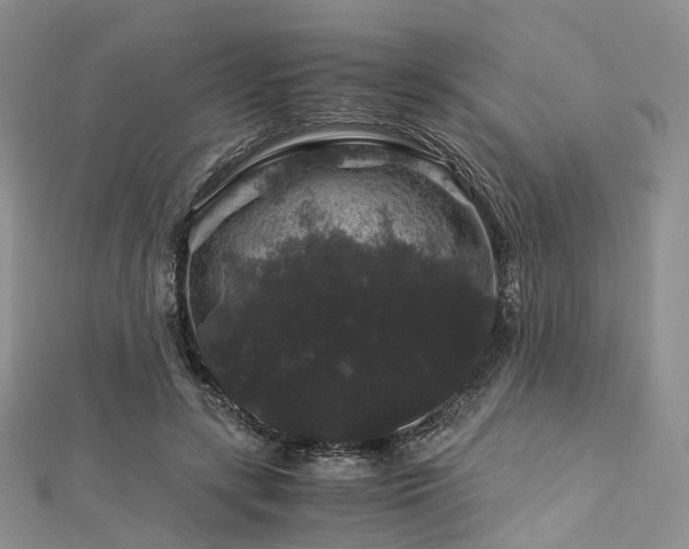 X0000112900547200908211519