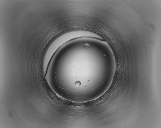 X0000112900548200908211519