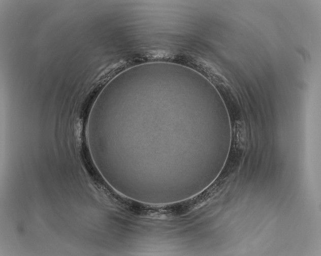 X0000112900550200908211519