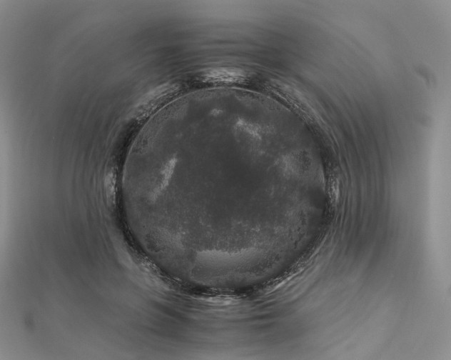 X0000112900551200908211519