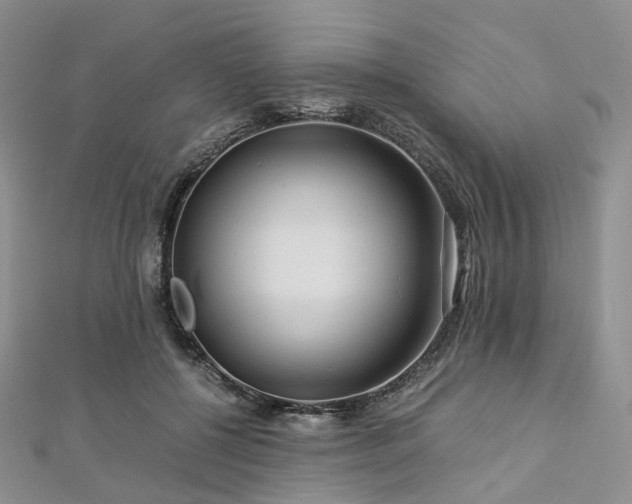 X0000112900552200908211519