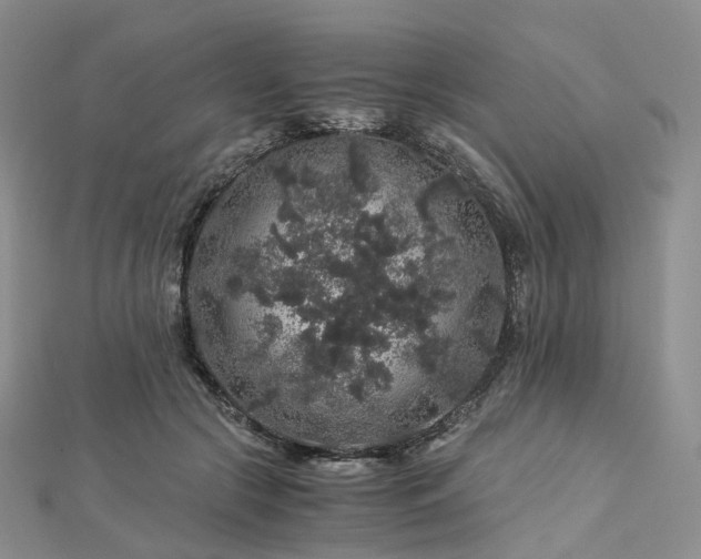 X0000112900553200908211519