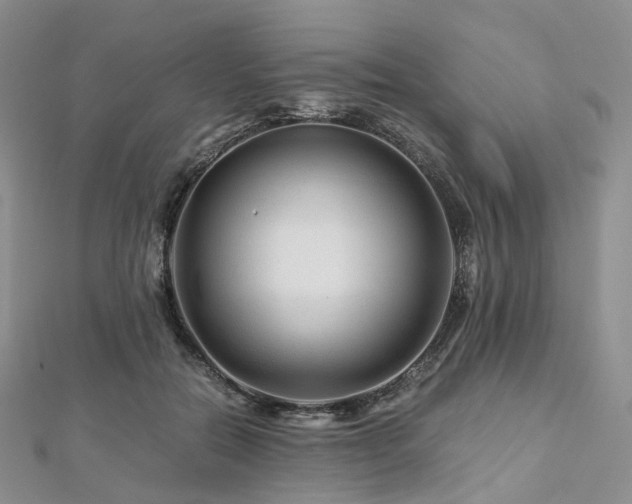 X0000112900554200908211519