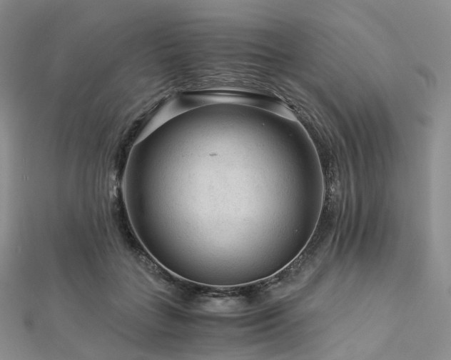 X0000112900555200908211519