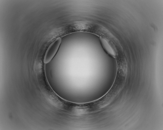 X0000112900556200908211519