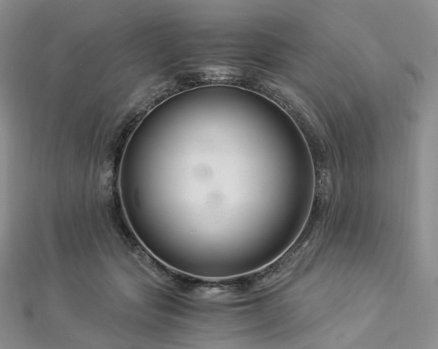 X0000112900557200908211519