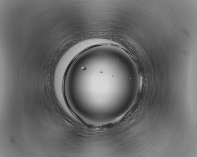 X0000112900558200908211519