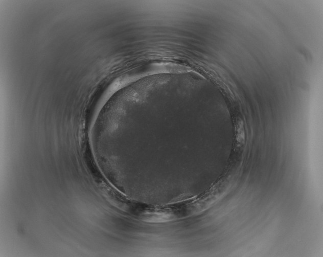 X0000112900559200908211519