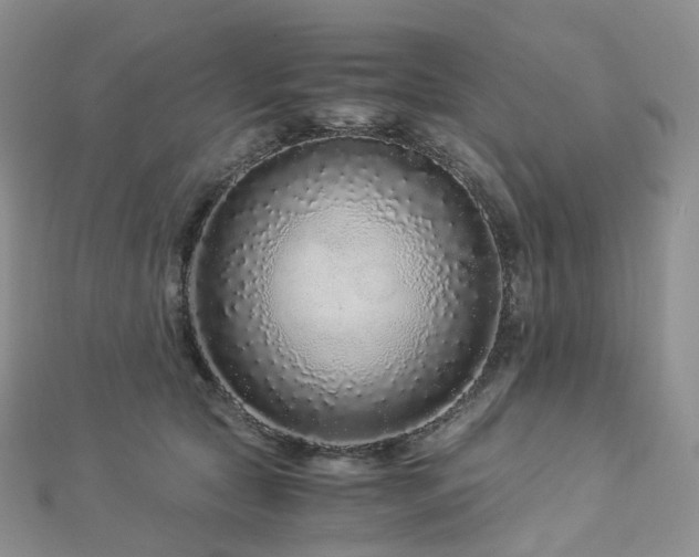 X0000112900561200908211519