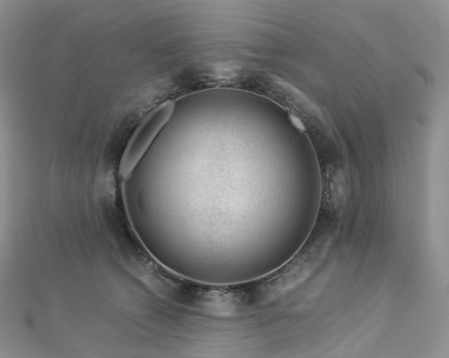 X0000112900562200908211519