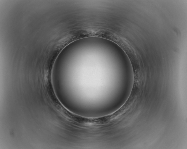 X0000112900563200908211519