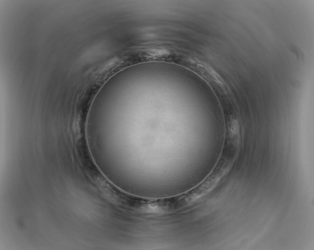 X0000112900565200908211519