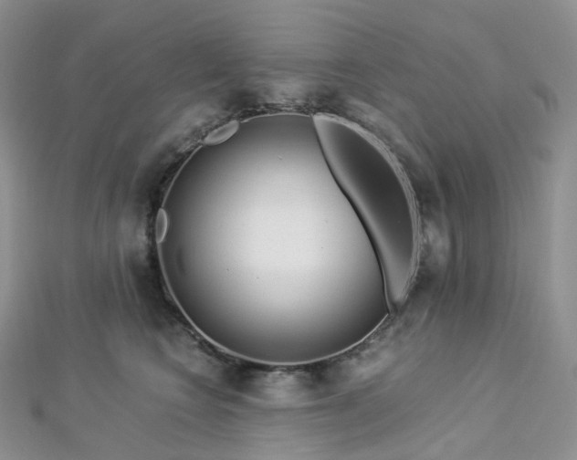 X0000112900566200908211519