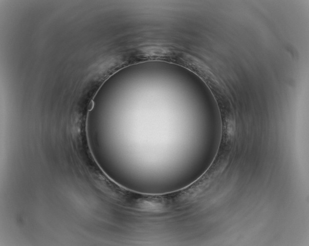 X0000112900567200908211519