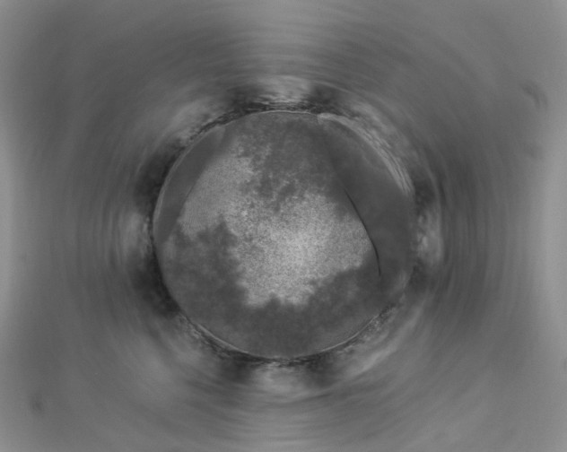 X0000112900568200908211519