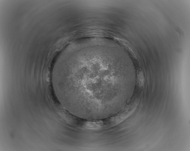 X0000112900571200908211519