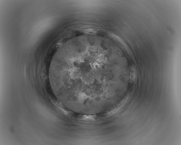 X0000112900573200908211519