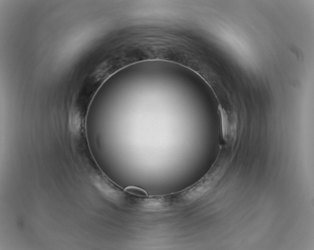 X0000112900574200908211519