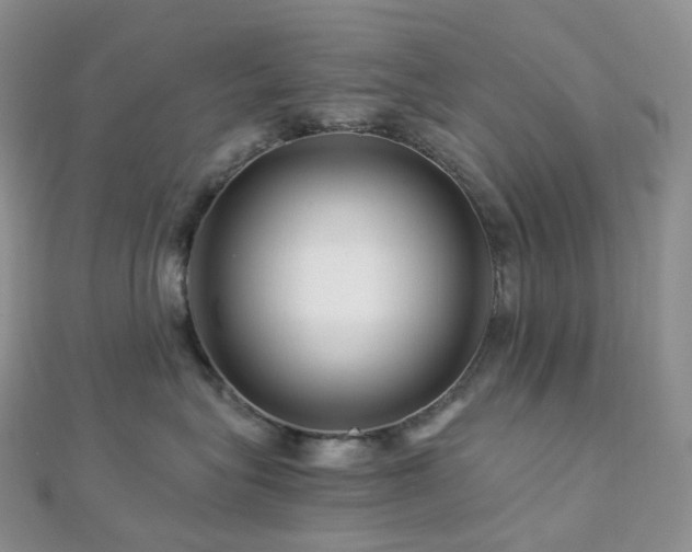 X0000112900575200908211519