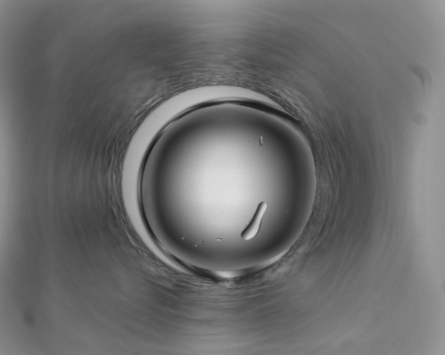 X0000112900576200908211519