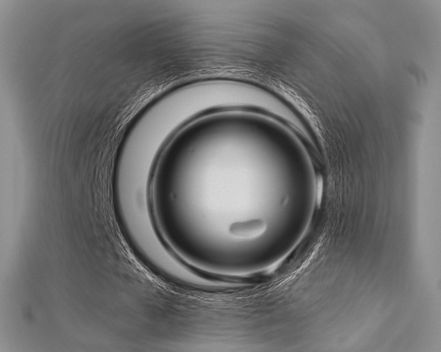 X0000112900577200908211518