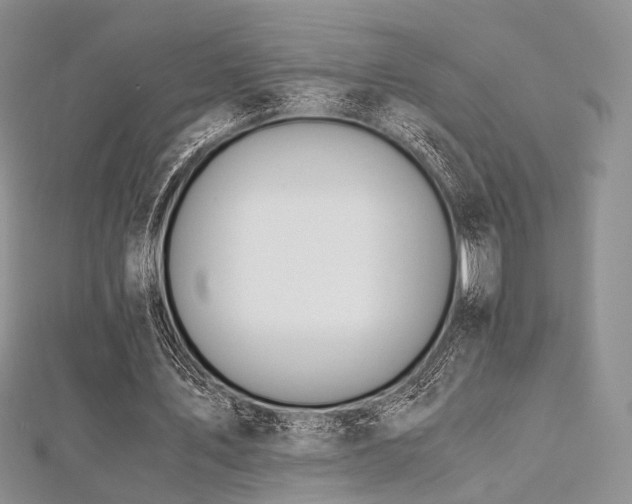 X0000112900579200908211518