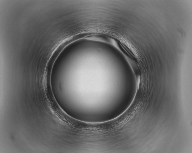 X0000112900580200908211518