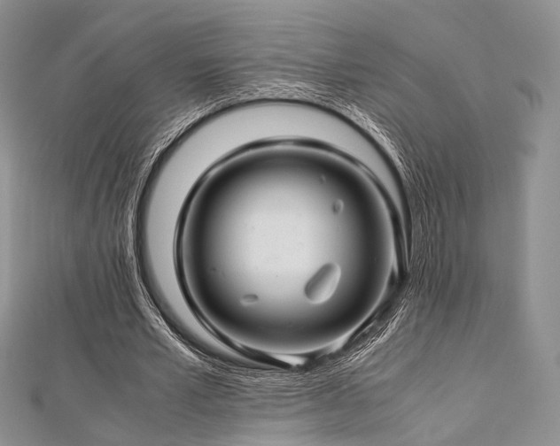 X0000112900581200908211518