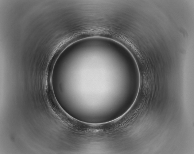 X0000112900582200908211518
