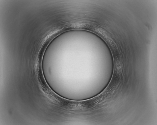 X0000112900583200908211518