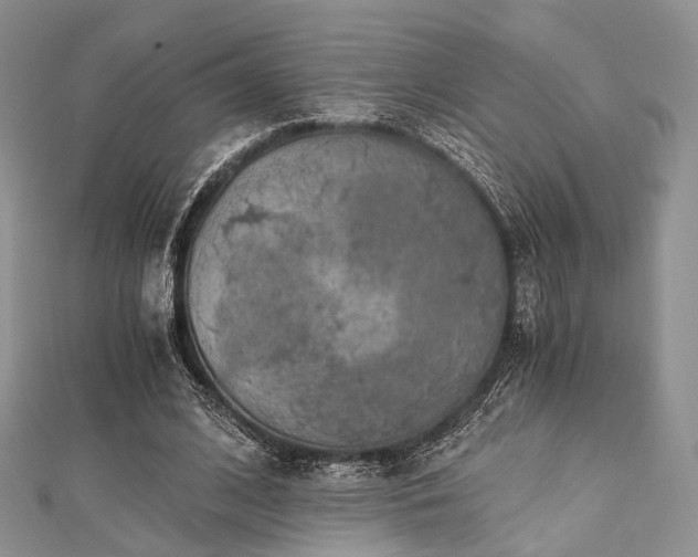 X0000112900584200908211518