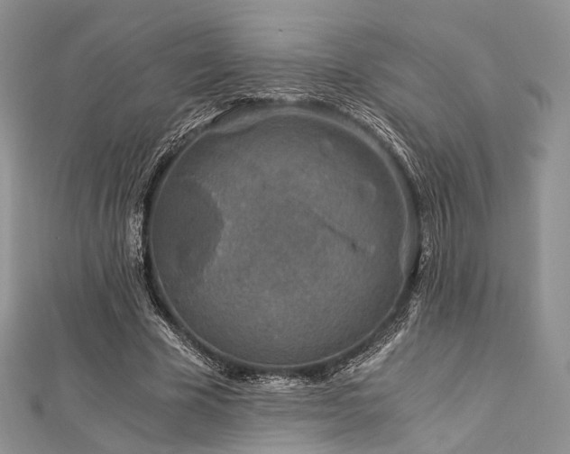 X0000112900585200908211518