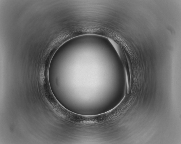 X0000112900586200908211518