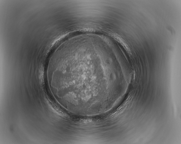X0000112900588200908211518