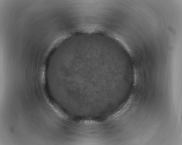 X0000112900590200908211518