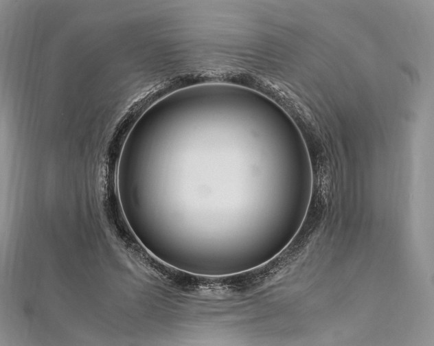 X0000112900591200908211518