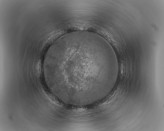 X0000112900594200908211518