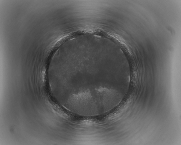 X0000112900596200908211518