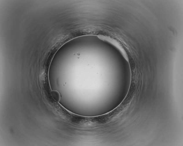 X0000112900597200908211518