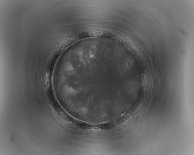 X0000112900598200908211518