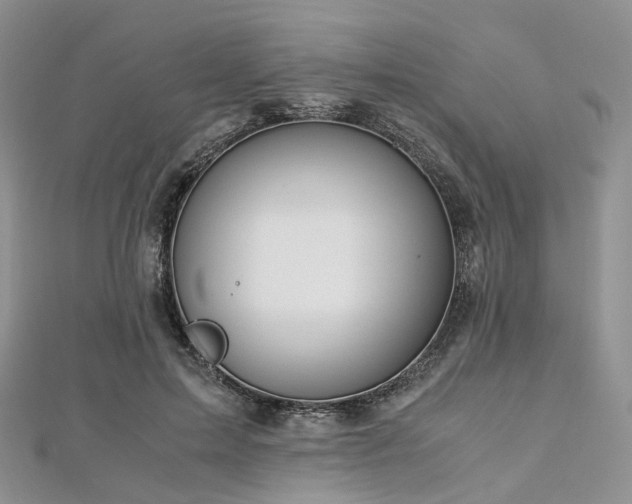 X0000112900599200908211518