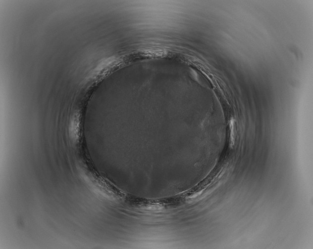X0000112900600200908211518