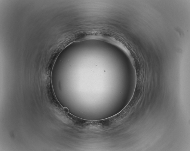 X0000112900601200908211518